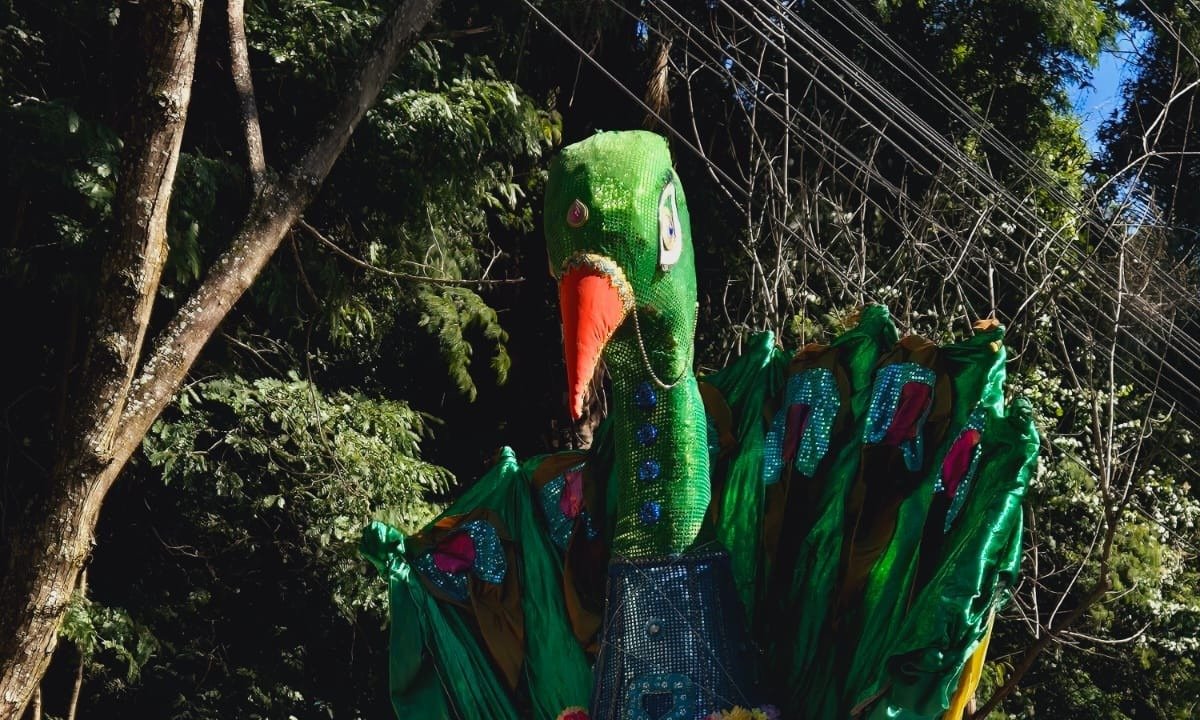 FoliÃµes se preparam para o bloco Pena de PavÃ£o de Krishna-Jair Amaral/EM/D.A. Press