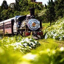 Roteiros marcantes sobre trilhos: conheça passeios de trem pelo Brasil - Reprodução Youtube