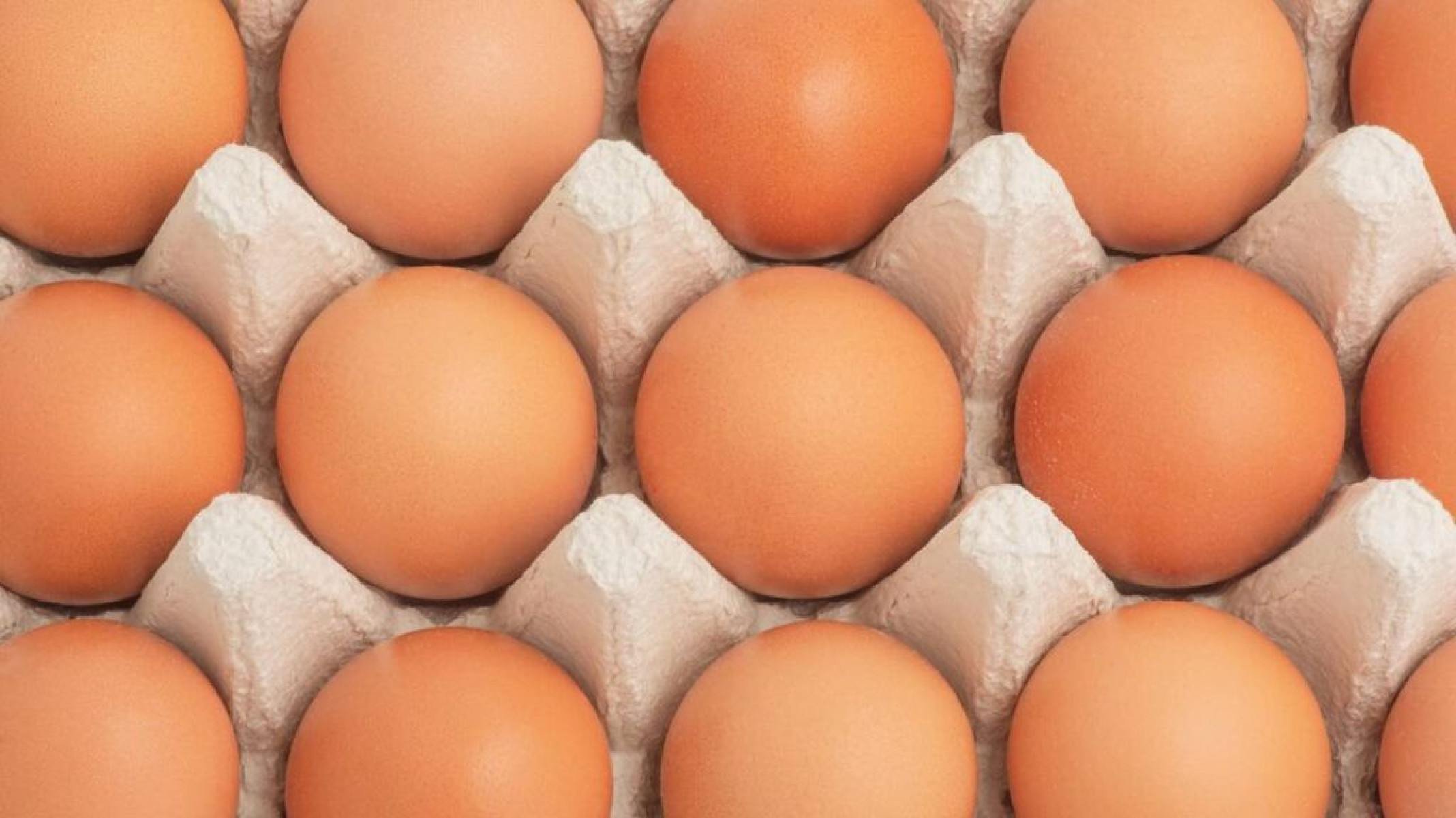 Guia completo de ovos: tipos, qualidade e como não ser enganado - Portal Giro 10