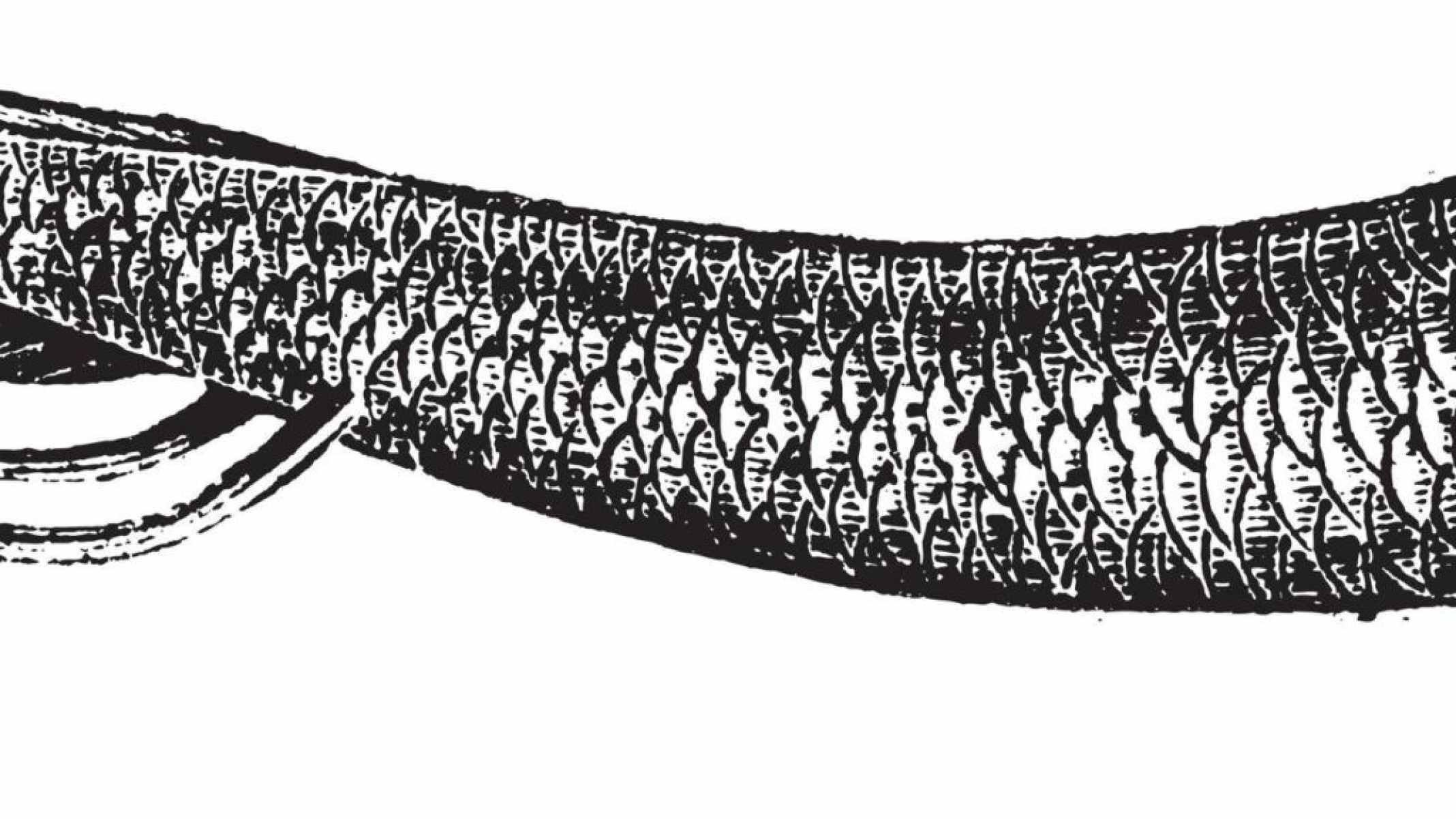 Por que o peixe pulmonado consegue sobreviver fora da água? - Portal Giro 10