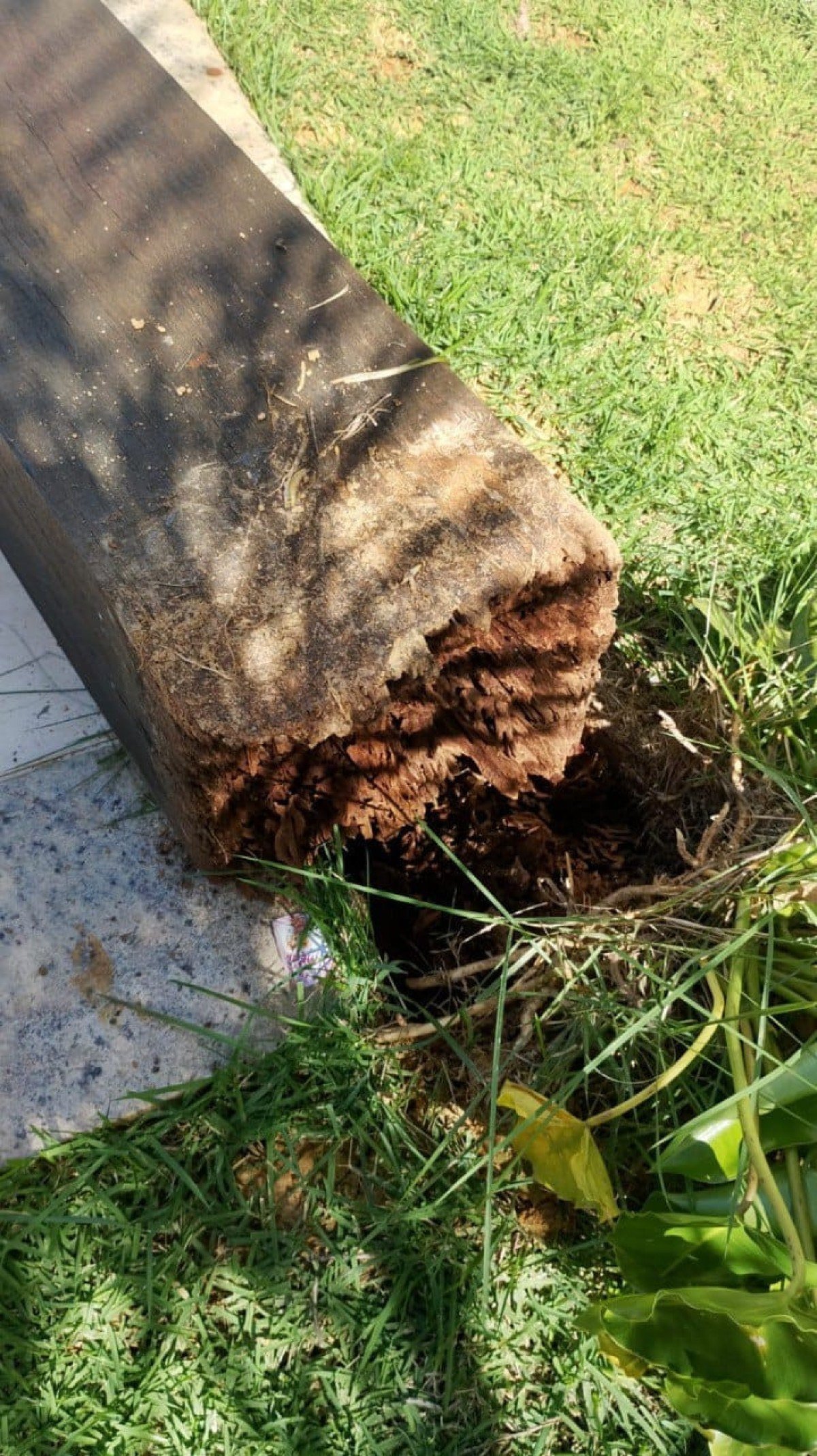 Segundo o Corpo de Bombeiros, a estrutura do playground quebrou na base. Pol&iacute;cia Civil vai periciar o local
