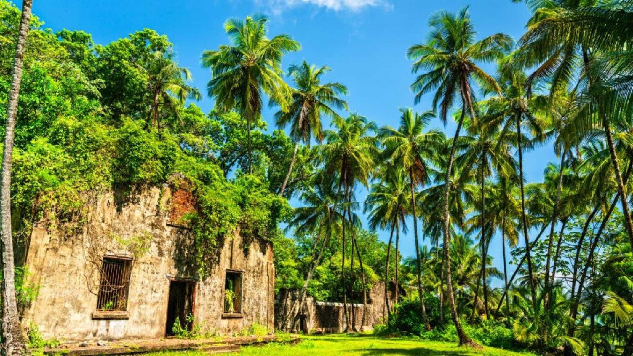 Ilha das Guianas: a gigante secreta da América do Sul - Portal Giro 10