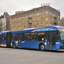 Origem e atrações do Bronx: multicultural distrito de Nova York - Reprodução do Flickr Adam E. Moreira