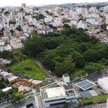 Queda de galhos de árvore deixa moradores de bairro de BH sem luz - Parque J&aacute;/Divulga&ccedil;&atilde;o