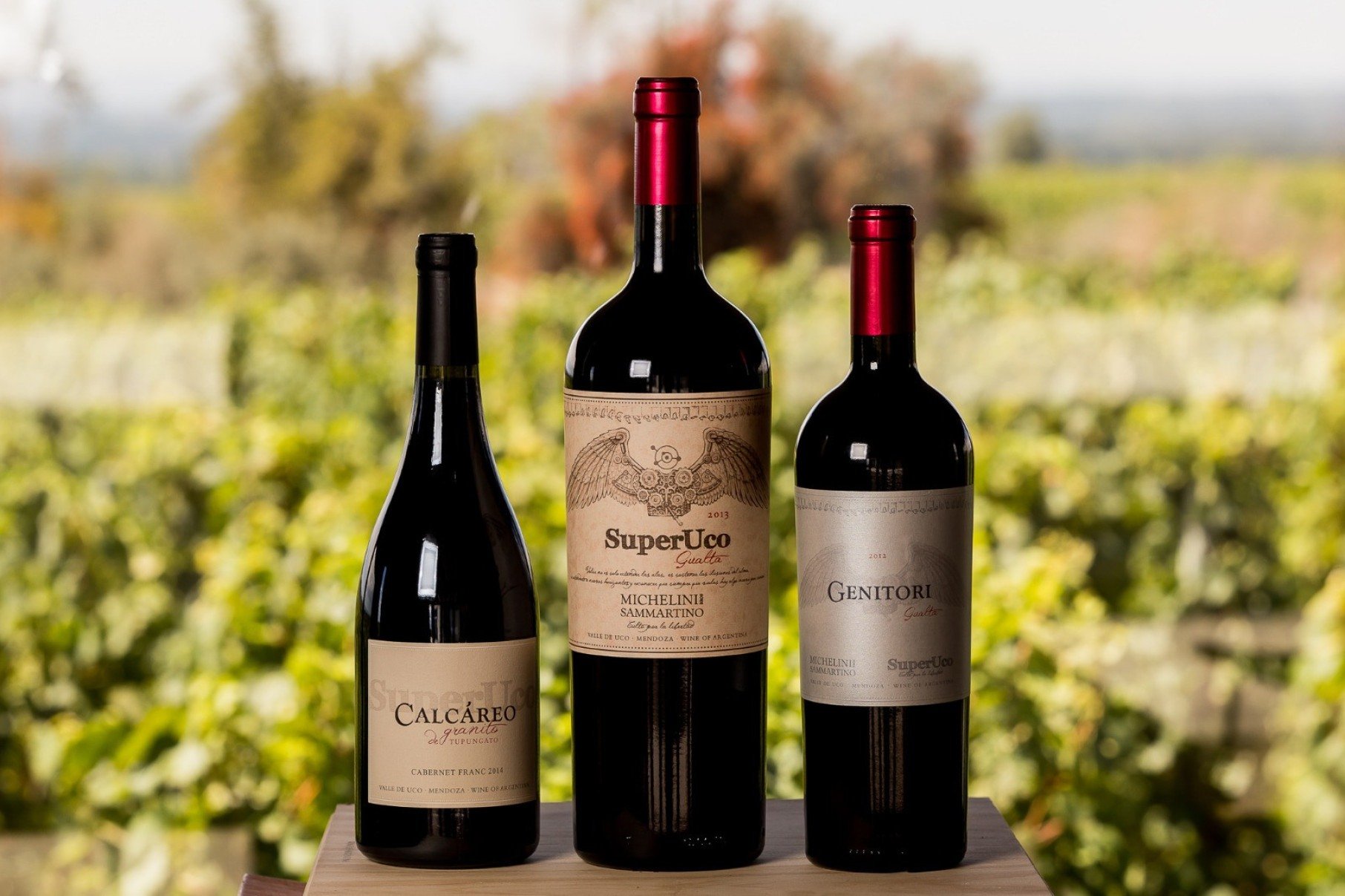 Entre os produtores encontrados na distribuidora e importadora La Gruta, destaque para o SuperUco, da Argentina, com vinhos org&acirc;nicos 