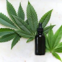 Anvisa amplia permissões para o uso de cannabis no Brasil - Kimzy Nanney/Unsplash