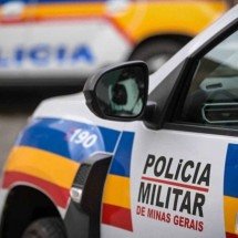 Cadela comunitária é morta a tiros no Sul de Minas - Leandro Couri / EM / D.A Press