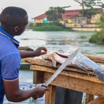 Ilha mais superlotada do planeta não tem esgoto nem energia elétrica - Wikimedia Commons/Ssemmanda will