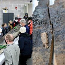 Canoas mais antigas que a Grande Pira?mide de Gize? sa?o descobertas nos Estados Unidos - Divulgac?a?o/Sociedade Histo?rica de Wisconsin