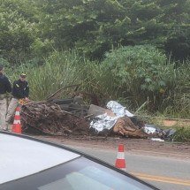 BR-381: motorista foge por possível estado de choque ao ver acidente - Edésio Ferreira/EM/D.A.Press