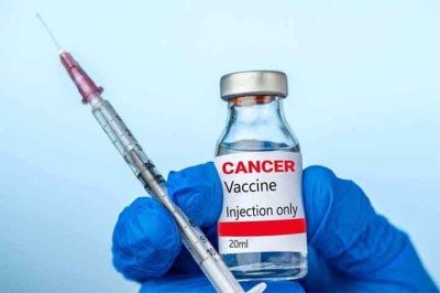 <p>Caso a estratégia se confirme, poderia permitir vacinas mais baratas, fáceis de armazenar e de administrar, até mesmo em alimentos, com potencial aplicação contra outras doenças.</p>
 -  (crédito: Imagem Freepik)