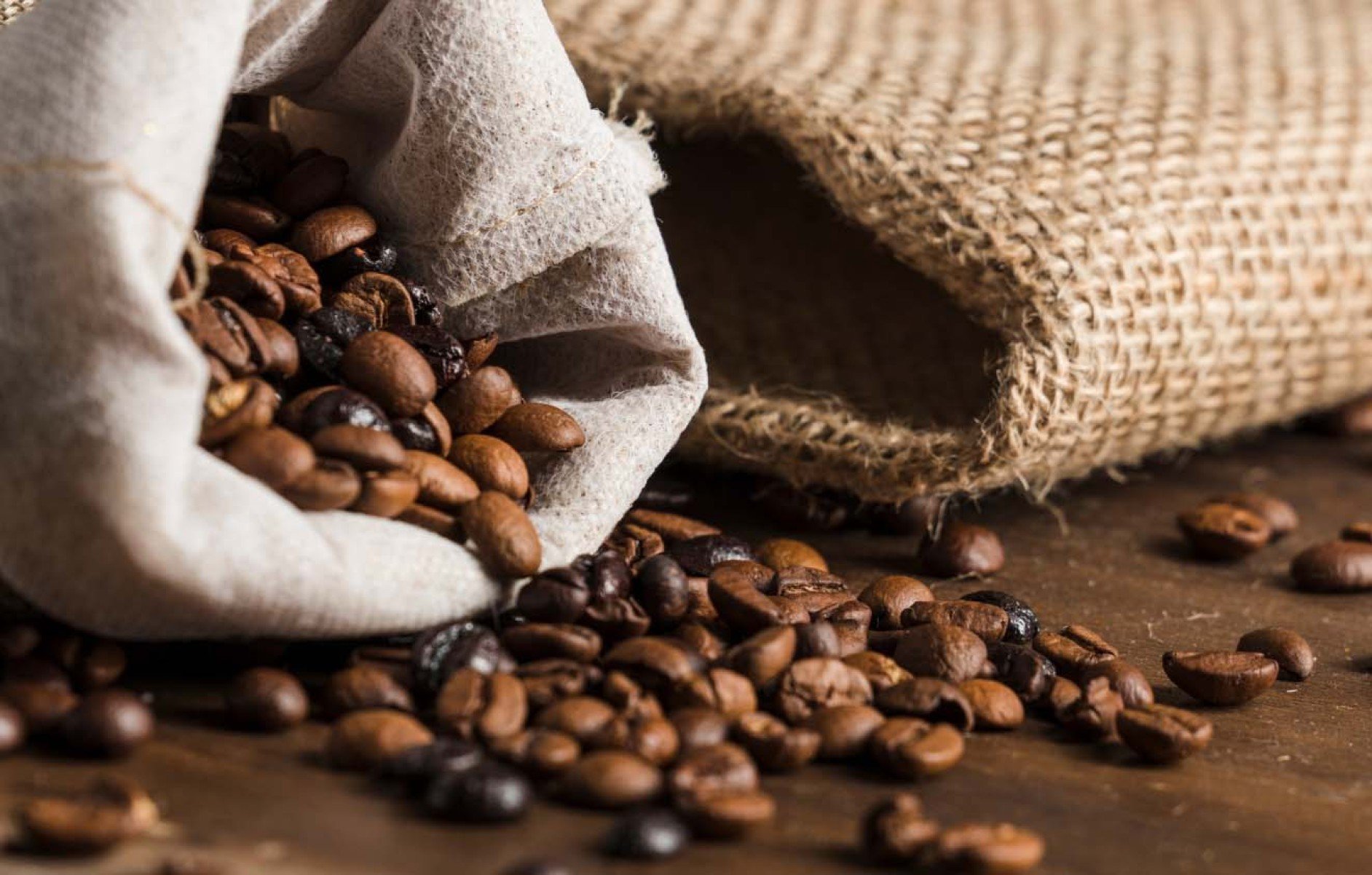 Minas Gerais reforça protagonismo na produção de cafés - DINO