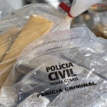 Polícia incinera 4 toneladas de drogas em Ipatinga - PCMG