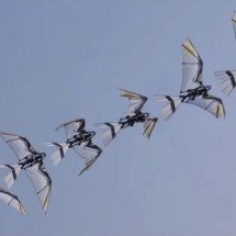 Robô desenvolvido por chineses é capaz de agir como pássaro - Divulgação/Science Advances