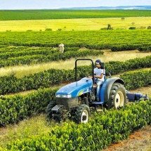 Agronegócio bate recorde de população ocupada