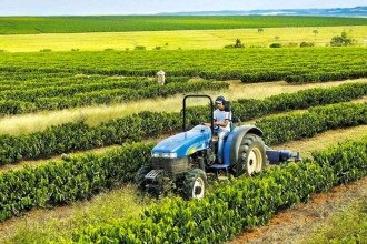 Empregados com carteira assinada representam 34,7% da  população ocupada do setor, um recorde na série histórica iniciada em 2012 -  (crédito: SEAPA/DIVULGAÇÃO)