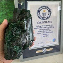 A esmeralda de 7.525 quilates que entrou para a história do Guinness - Divulgação