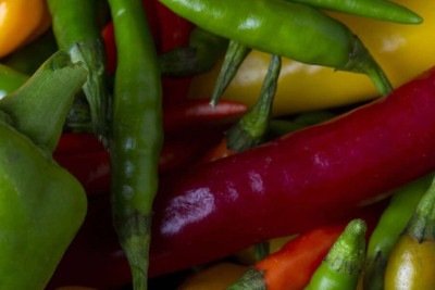 Os benefícios da pimenta que poucos conhecem e como ela age no corpo -  (crédito: Tupi)