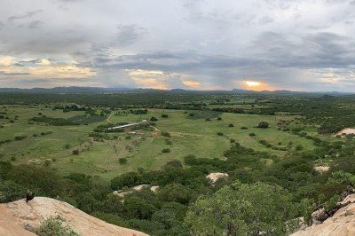 <p>Pesquisadores do Laboratório de Mirmecologia do Sertão descobriram novas espécies de insetos no semiárido nordestino, em expedições pela Bahia e Pernambuco.</p>
 -  (crédito: Wikimedia Commons/UsuárioPar)