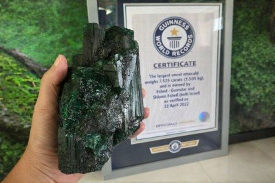 <p>Não é todo dia que uma pedra de 7.525 quilates, com 1,505 quilo, ganha o mundo, mas foi exatamente isso que aconteceu quando a esmeralda bruta acabou reconhecida pelo Guinness World Records como a maior já registrada entre as não lapidadas, em 2022.</p>
 -  (crédito: Divulgação)
