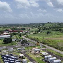 Gravuras pré-históricas de 8 mil anos são encontradas na Venezuela - Reprodução