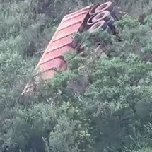 Motorista de carreta morre ao despencar em ribanceira na BR-040 - Redes Sociais/Reprodução
