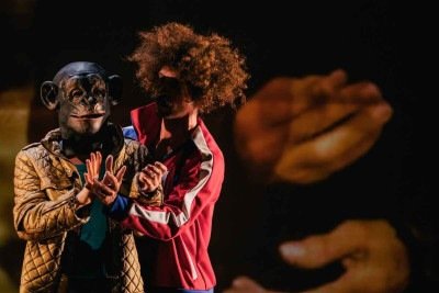 Macacos são o contraponto ao individualismo tóxico do homem moderno na peça do Coletivo Gompa, com sessões  sábado e domingo em BH -  (crédito: Laura Testa/divulgação)