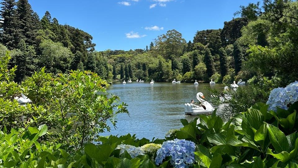 Passeio de pedalinho no Lago Negro, em Gramado, oferece um cen&aacute;rio cl&aacute;ssico e tranquilo, perfeito para fotos na Serra Ga&uacute;cha. -  (crédito: Yaya Souza)
