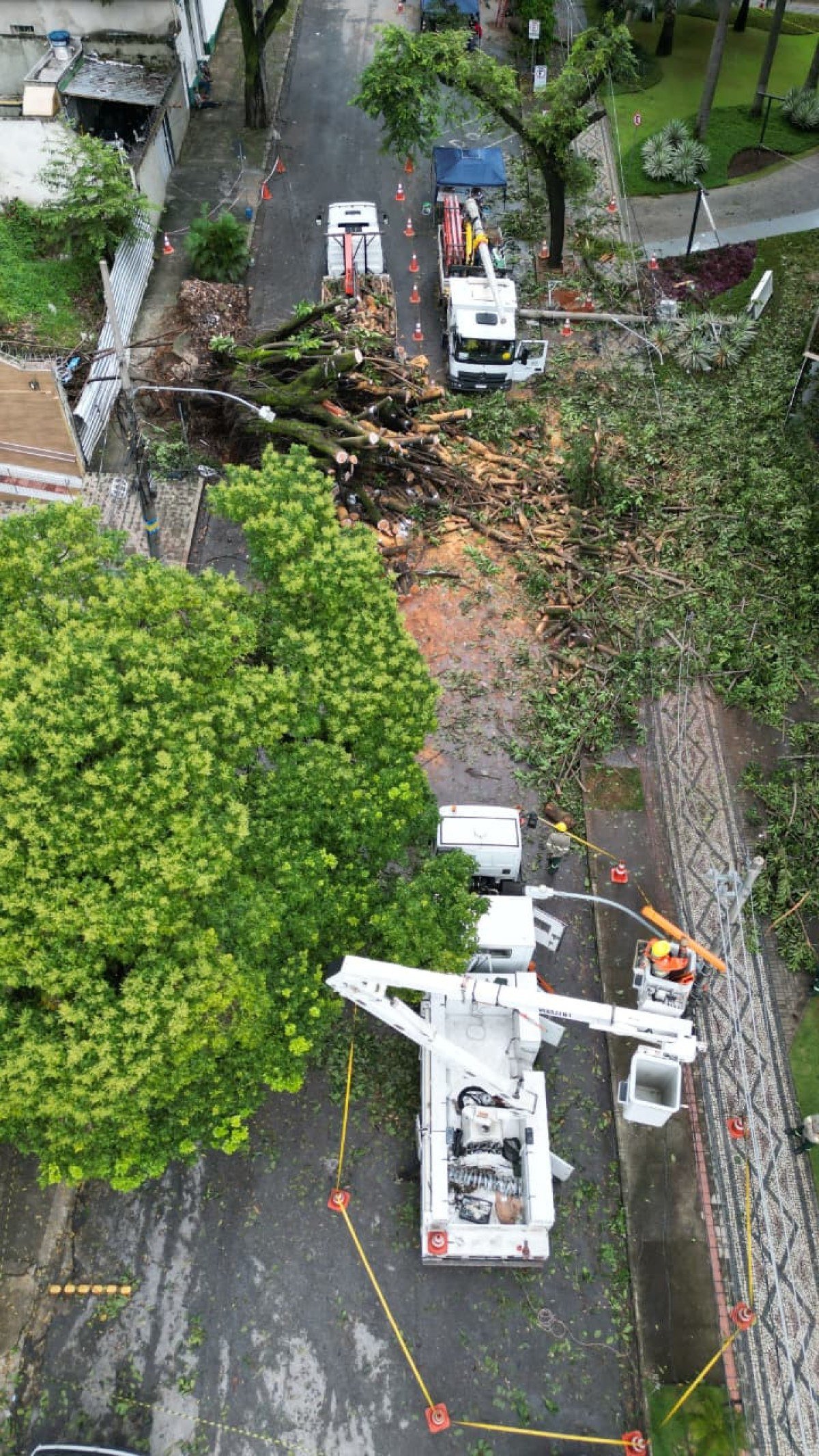 Uma &aacute;rvore de grande porte caiu na Rua dos Aimor&eacute;s, pr&oacute;ximo ao n&uacute;mero 3.410, no Bairro Barro Preto, na Regi&atilde;o Centro-Sul de Belo Horizonte, na madrugada desta quinta-feira (26/2).