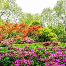 Jardim em março: o que plantar e como cuidar das suas plantas na estação - FreePik