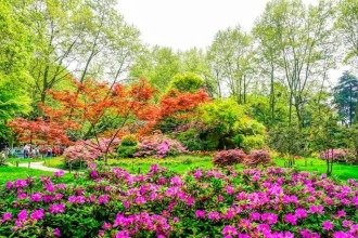 Jardim em março: o que plantar e como cuidar das suas plantas na estação