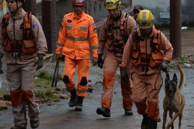 Cadela Flecha, de 1 ano e 9 meses, refor&ccedil;a quarto dia de buscas em Juiz e Fora -  (crédito: Túlio Santos/EM/DA Press)