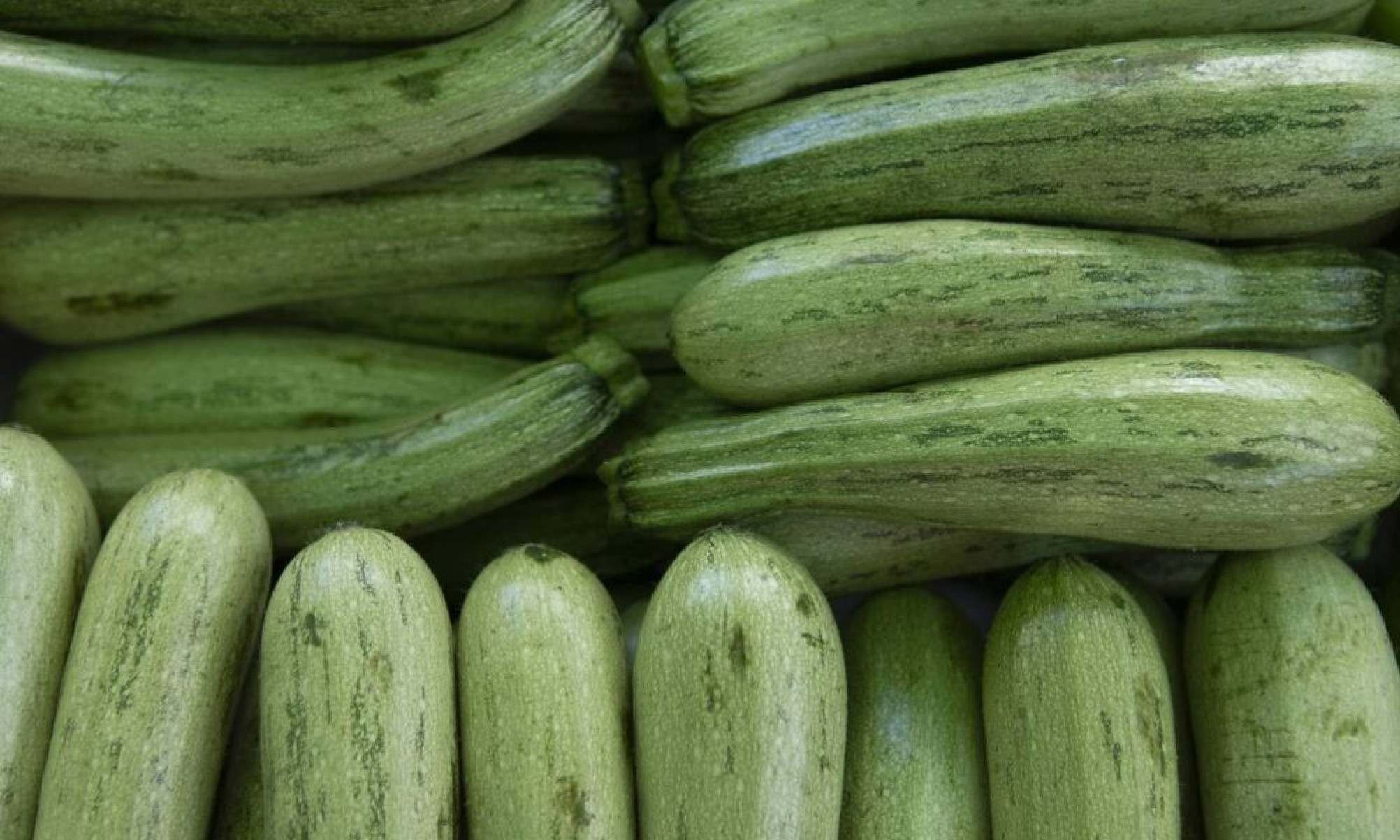 Os benefícios da abobrinha para a saúde e por que esse vegetal é tão recomendado -  (crédito: Tupi)