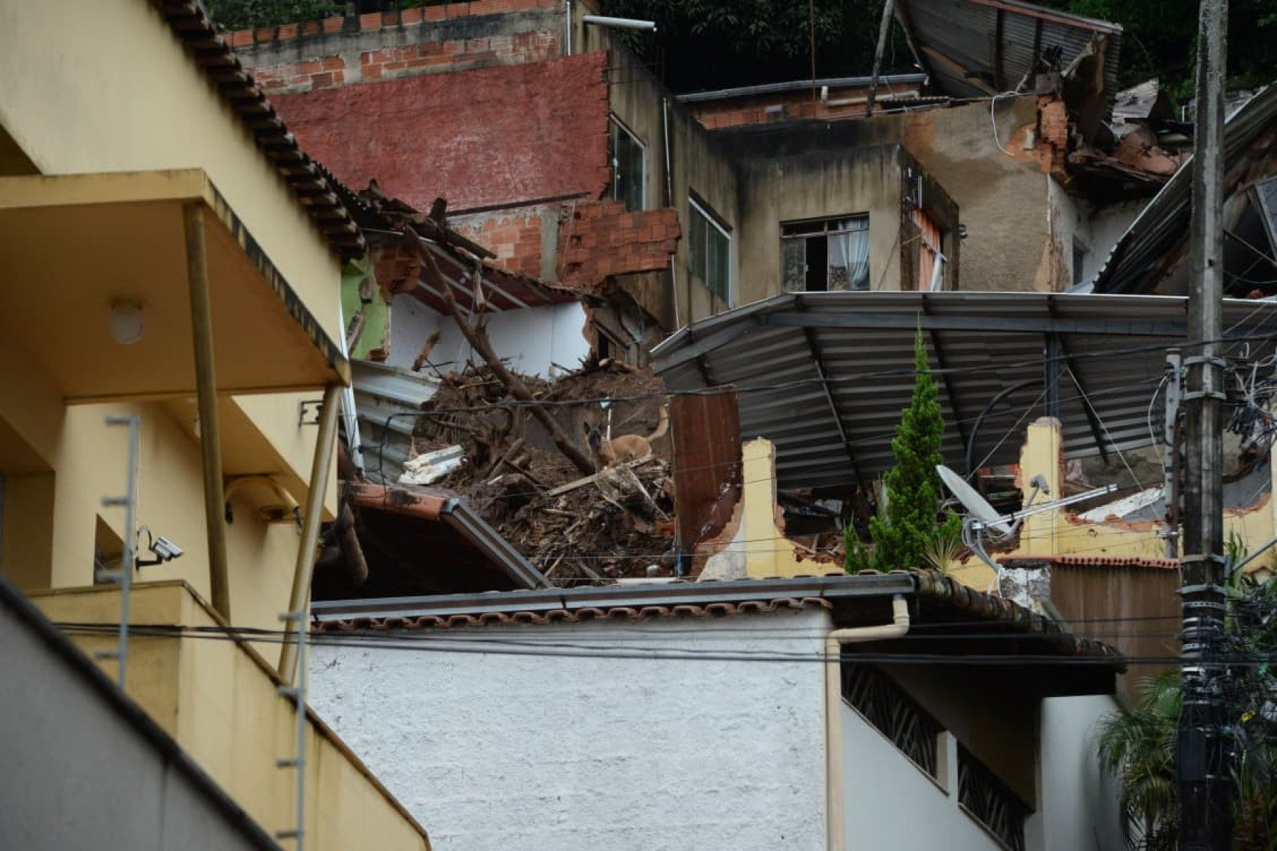 Quarto dia de busca por desaparecidos conta com ajuda de colaboradores, bombeiros, cães e militares do Exército
