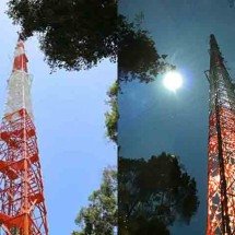 Torre Alta da Amazônia tem observatório que monitora o clima - Divulgação
