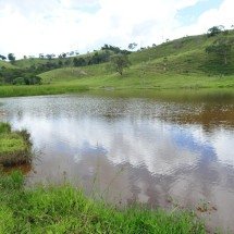 Grande BH: trabalhadores encontram corpo boiando no Rio Paraopeba -  Gladyston Rodrigues/EM/D.A Press