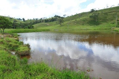 Homens extraíam areia do leito do Rio Paraopeba quando viram o corpo -  (crédito:  Gladyston Rodrigues/EM/D.A Press)