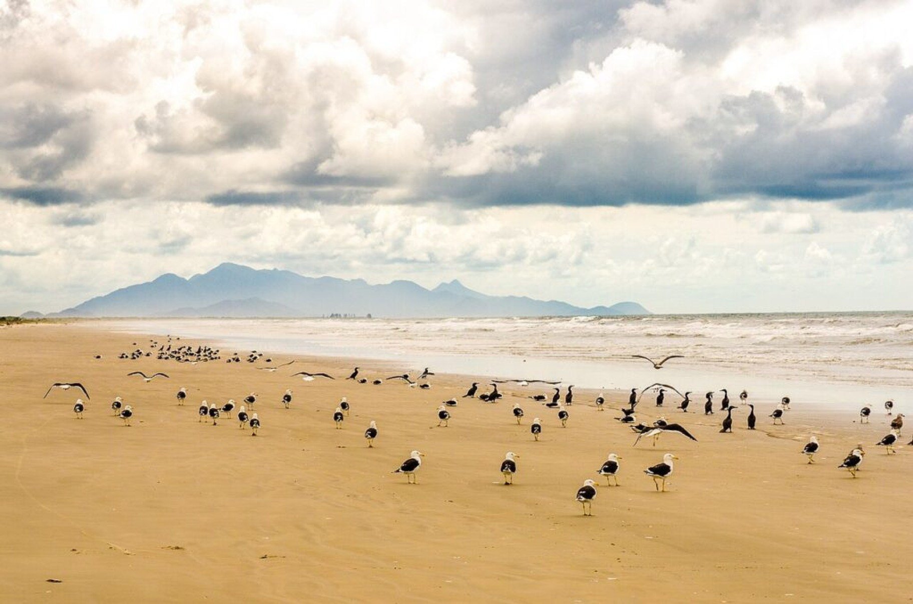 Ilha do Superagui: o paraíso preservado que resiste ao tempo no litoral do Paraná -  Paulo Chostakovis Filho