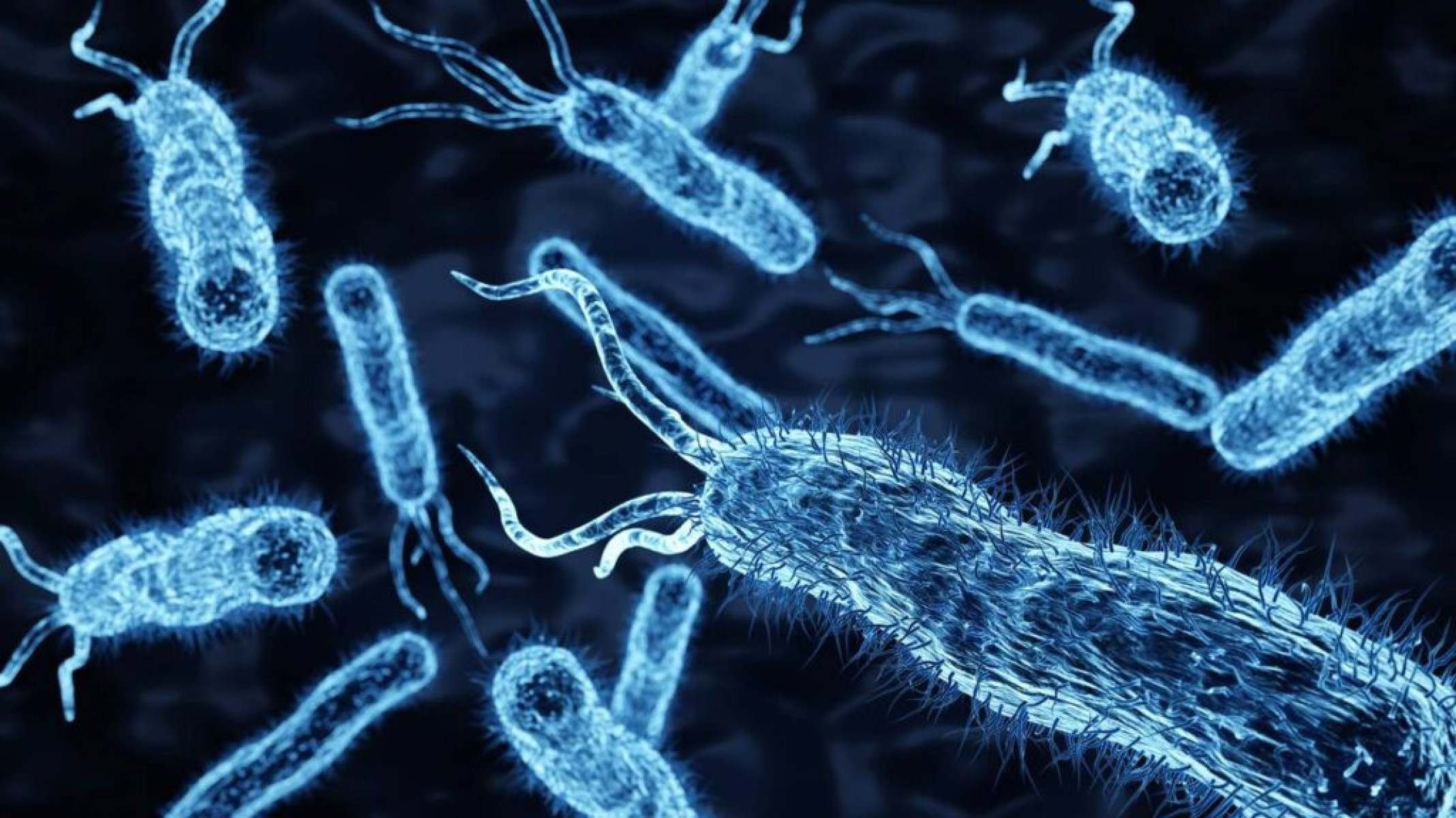 Resistência antimicrobiana cresce globalmente e transforma infecções comuns em ameaça à saúde - Portal Giro 10