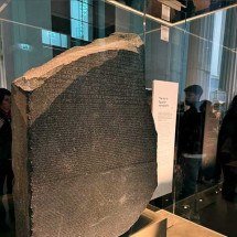 Fóssil de dinossauro misterioso que pesava menos de 1 kg é encontrado intacto na Argentina - Reprodução do Instagram @rivadaviadrummond