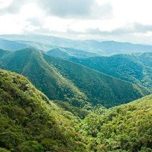 Espécies invasoras causam desequilíbrios ambientais e ameaçam faunas regionais - Divulgação Ministério do Meio Ambiente