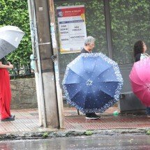 Frente fria à vista: 3 receitas de caldos fáceis para aquecer a noite - Marcos Vieira EM/DA
