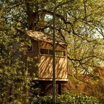 Livro lista algumas das casas na árvore mais impressionantes do mundo; confira! - Floris Bronkhorst/Unsplash