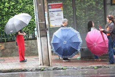 Do clássico caldo verde ao delicado creme de mandioquinha e à combinação aromática de abóbora com gengibre, essas receitas são ideais para preparar em maior quantidade -  (crédito: Marcos Vieira EM/DA)