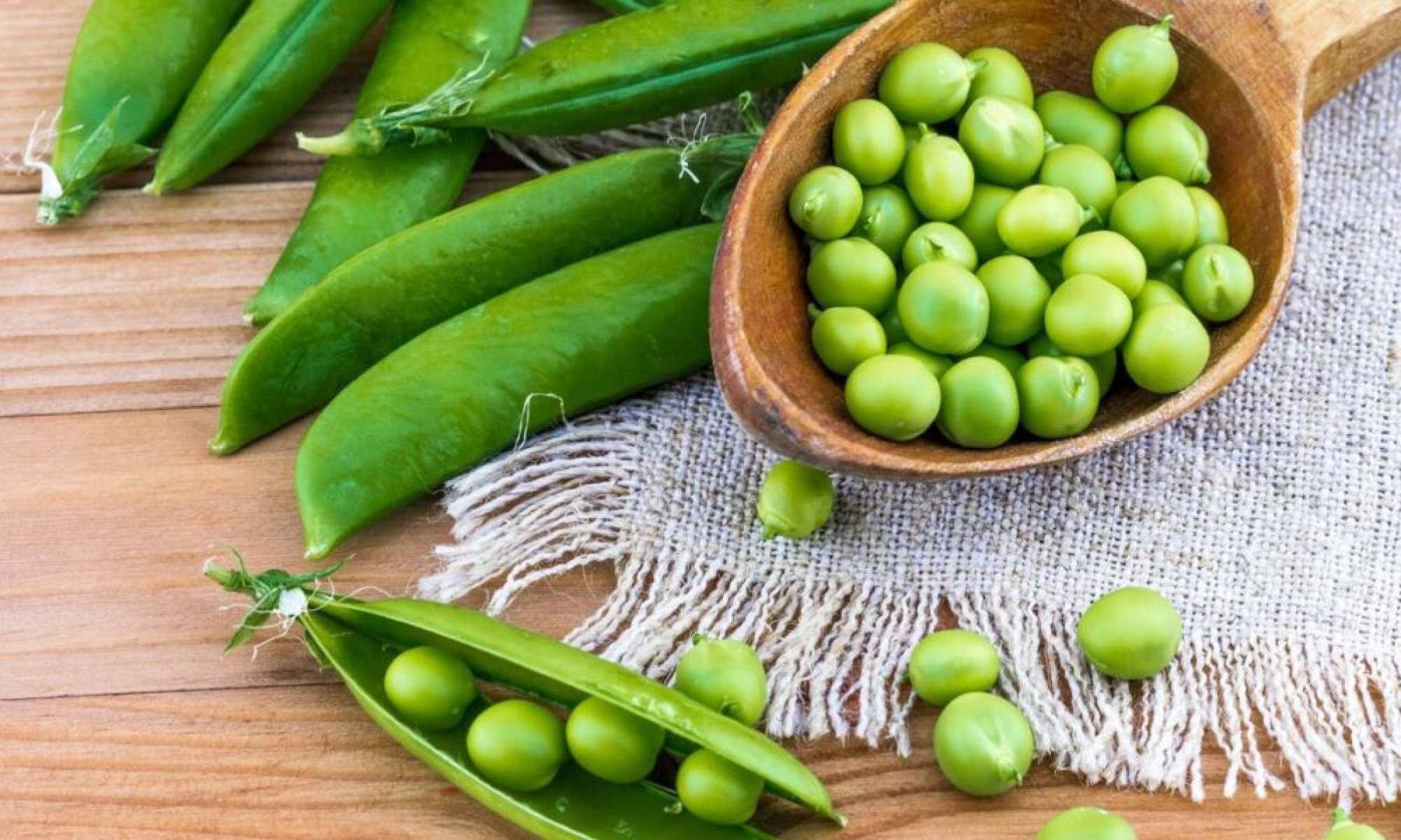 Benefícios da ervilha ajudam na saúde, no controle do peso e na alimentação diária -  (crédito: Tupi)