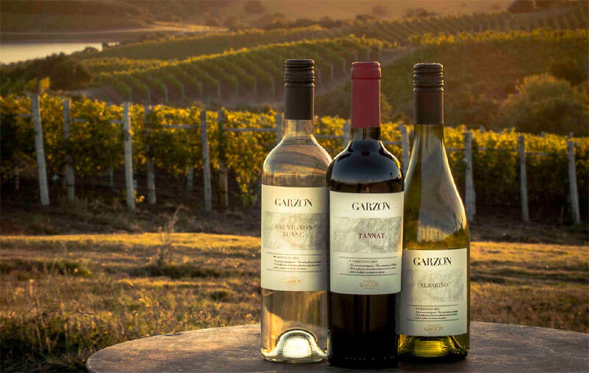 Quer beber um bom vinho? Visite, a Bodega Garzón, eleita a 