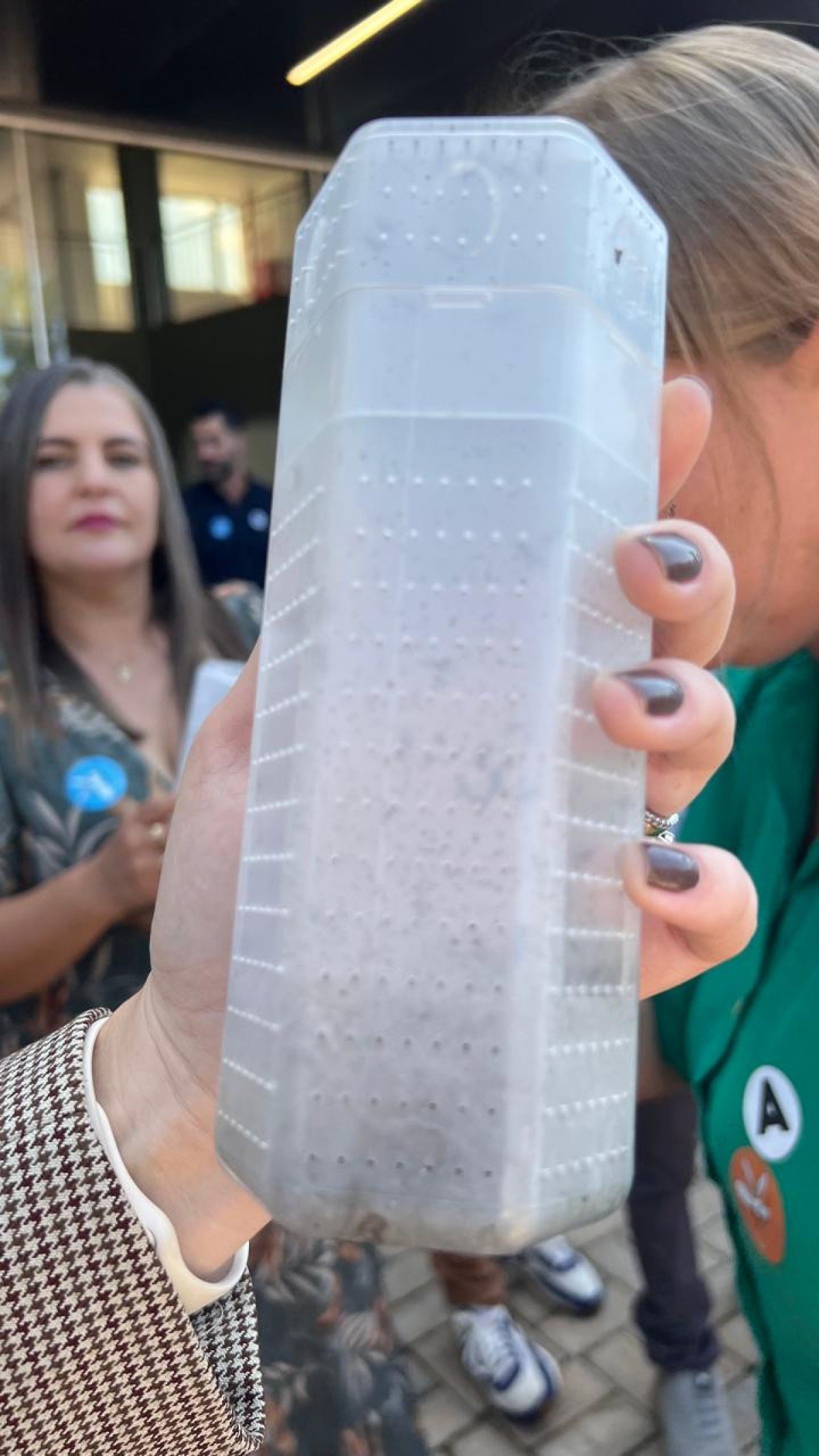 Mosquitos Aedes aegypti com bact&eacute;ria Wolbachia prontos para serem liberados em Brumadinho (MG)