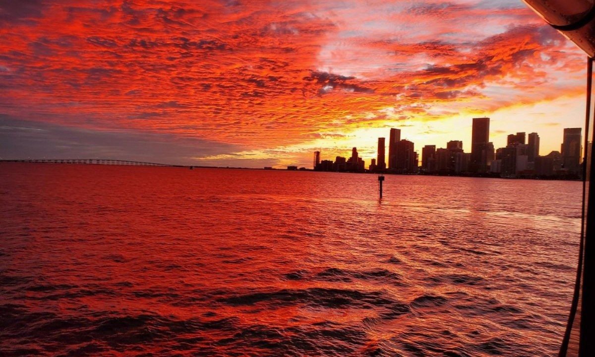 Skyline de Miami iluminado reflete na Biscayne Bay durante cruzeiro noturno, uma das experiências mais procuradas por turistas -  (crédito: Divulgação)