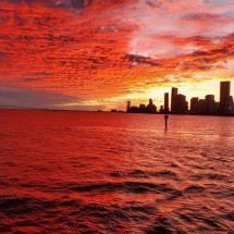 Cruzeiros noturnos em Miami: veja porque experiência lidera preferências