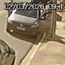 Homem abandona ninhada e em seguida mata filhote de cachorro - Reprodução/Redes Sociais